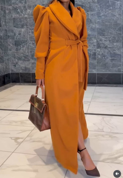 Demure Puff Sleeve Coat Dress